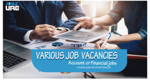 account or finance job vacancies