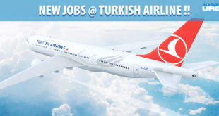 turkish airline career