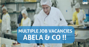 abela and co jobs