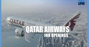 qatar airways career